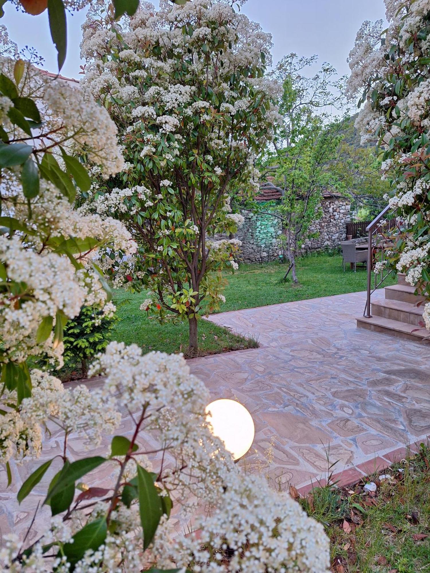Country House On Mount Olympus Karia  Exteriör bild